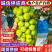 太康阳光玫瑰自家种植品质保证价格优惠量大价优