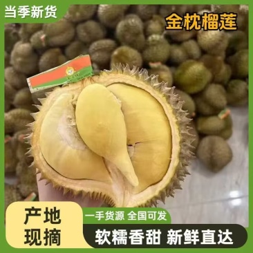 泰国金枕榴莲贸易商一手货源品质保证支持一件代发
