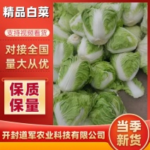 夏阳白菜，产地直供，货源充足，质优价廉，欢迎下单！