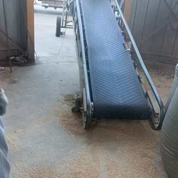 优质除尘散壳，压缩稻壳，货源稳定，长期供应