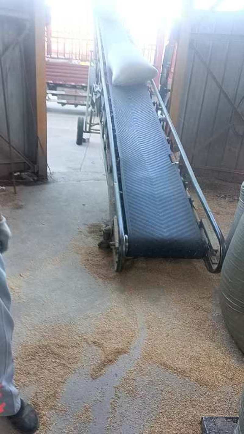 优质除尘散壳，压缩稻壳，货源稳定，长期供应