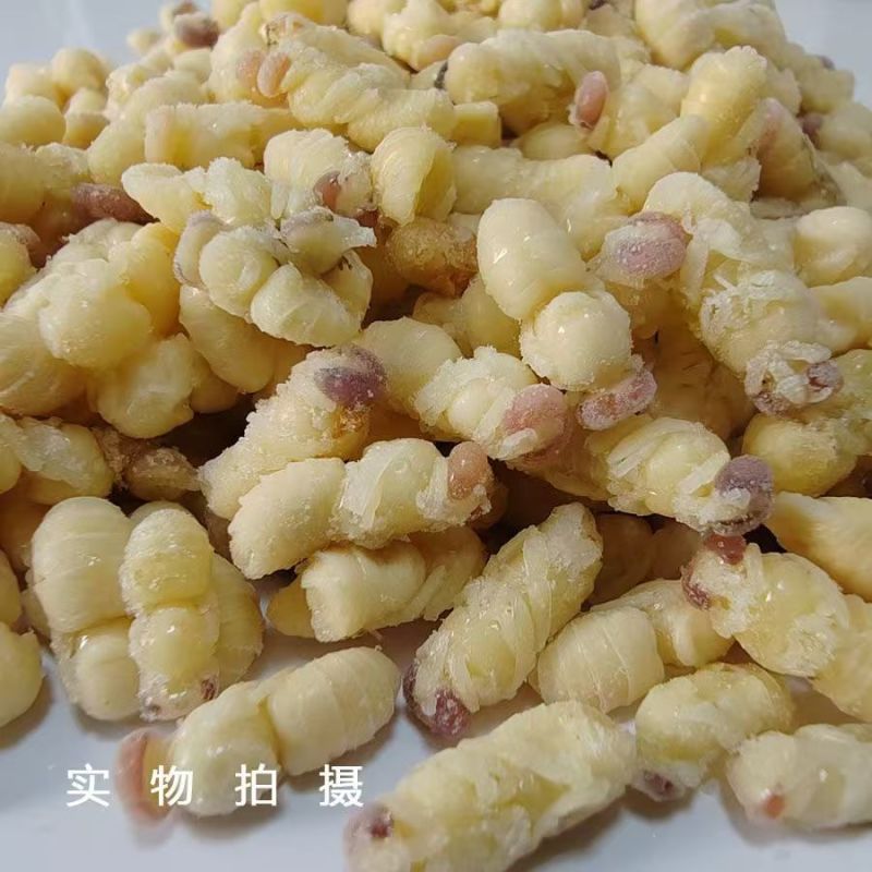 雄蜂蛹新鲜天然活体冷冻养殖蜜蜂蛹昆虫