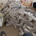 精品紫玉淮山药现挖先发产地一手货源供应全国欢迎订购