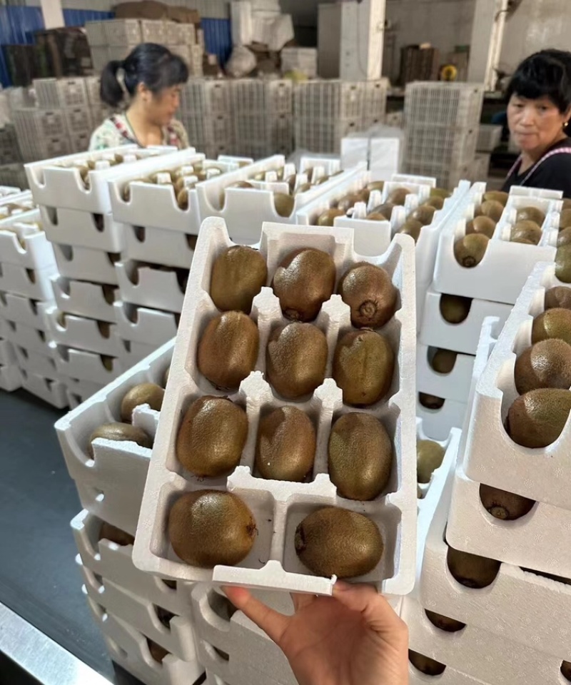 眉县徐香猕猴桃自产自销基地货源对接商场批发市场档口