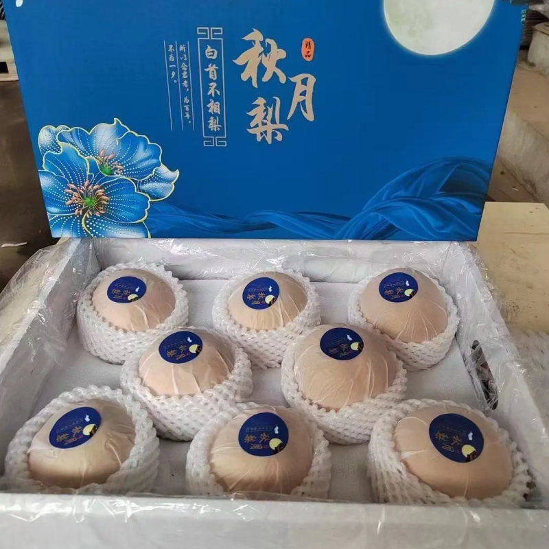 山东秋月梨礼盒大量上市皮薄清甜供应电商欢迎咨询