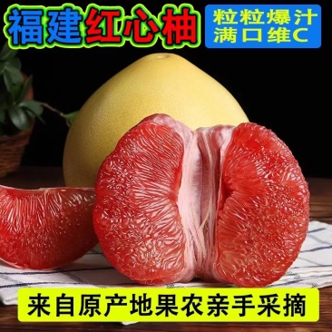平和馆溪蜜柚红心柚即将上市水分足欢迎咨询