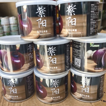 紫阳早熟洋葱种子杂交紫红韩国扁平耐抽苔分球少洋葱葱头种子
