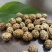 草蔻草豆蔻产地货源量大从优