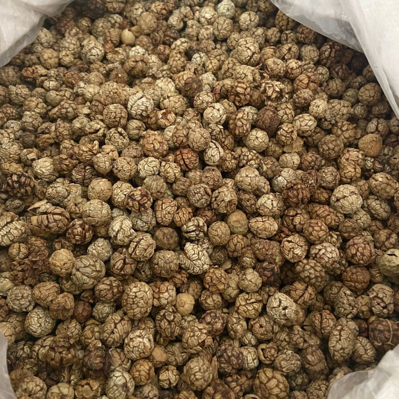草蔻草豆蔻产地货源量大从优