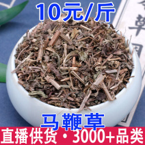 马鞭草马鞭草批发量大从优