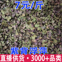 浮萍浮萍批发