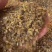 琥珀米琥珀批发量大从优