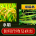 6%春雷霉素稻瘟病溃疡病穿孔病角斑病农药杀菌剂