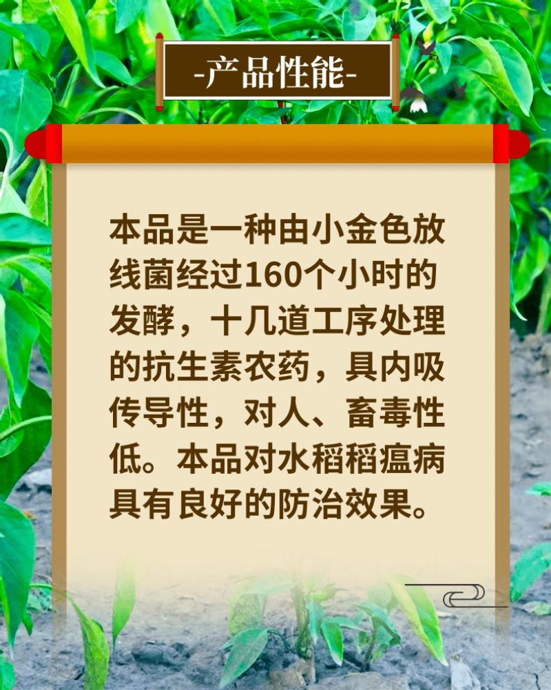 6%春雷霉素稻瘟病溃疡病穿孔病角斑病农药杀菌剂