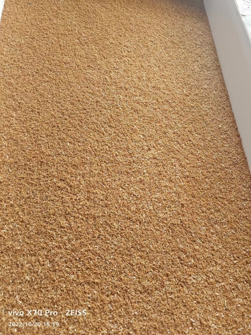 （推荐）黄粉虫虫沙保质保量可视频通话欢迎选购