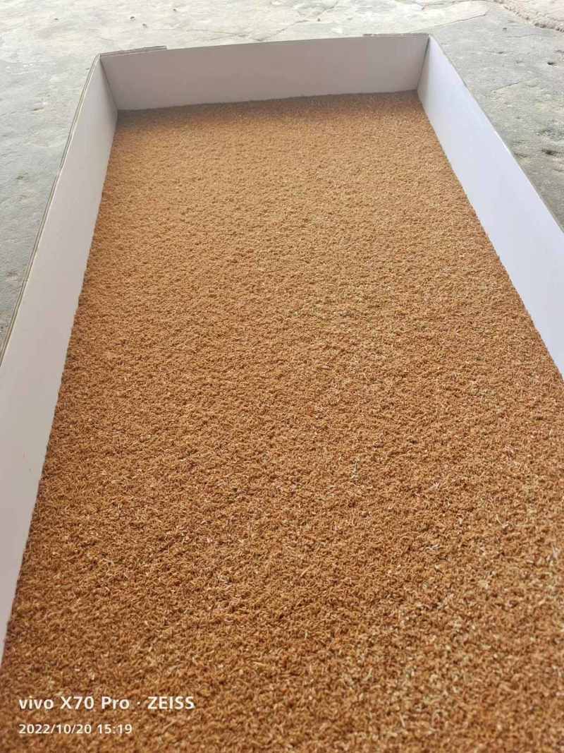 （推荐）黄粉虫虫沙保质保量可视频通话欢迎选购
