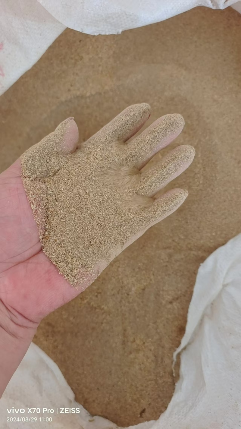 （推荐）黄粉虫虫沙保质保量可视频通话欢迎选购