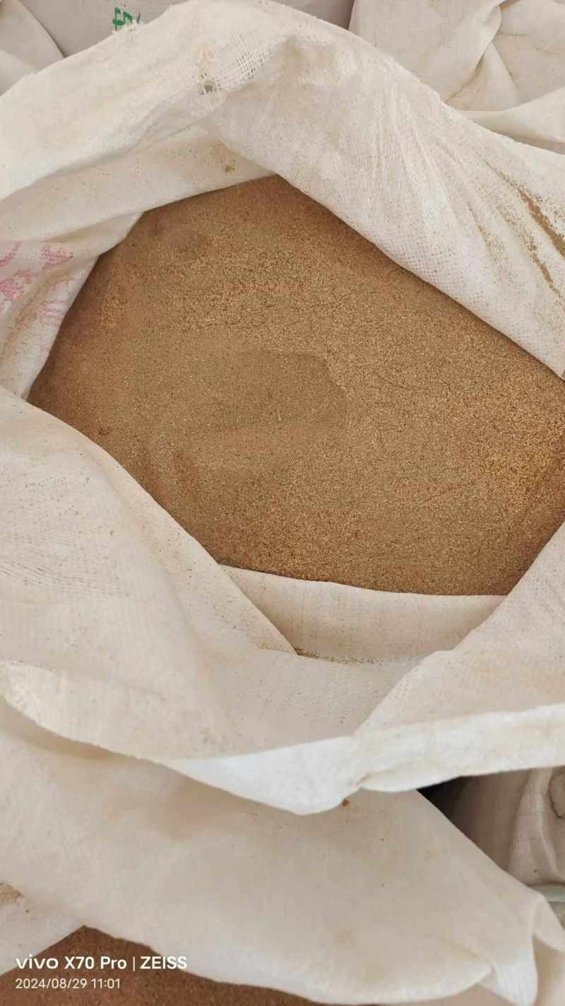 （推荐）黄粉虫虫沙保质保量可视频通话欢迎选购