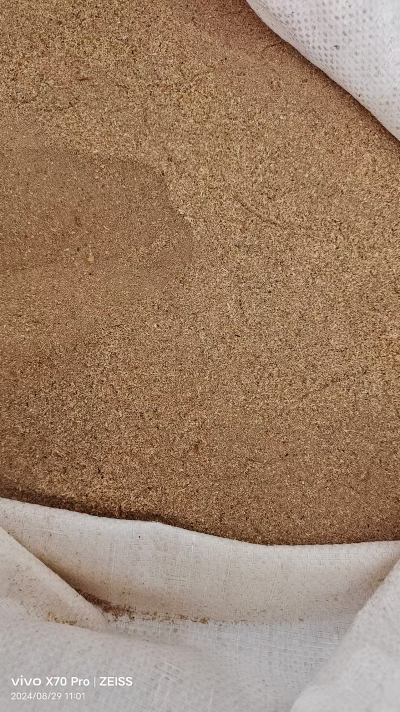 （推荐）黄粉虫虫沙保质保量可视频通话欢迎选购