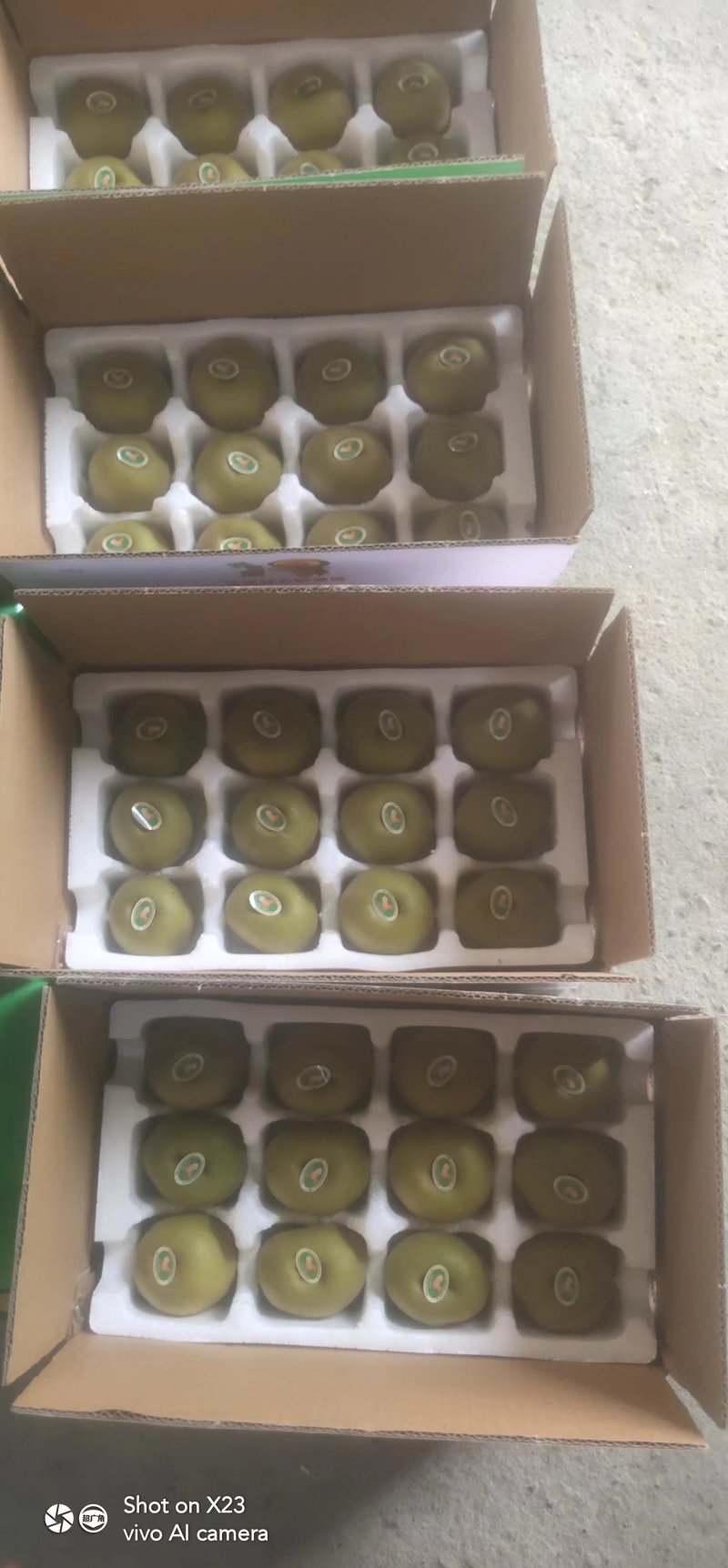 苍溪红心猕猴桃特惠基地包邮对接电商平台支持一件代发