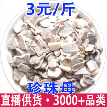 珍珠母珠母产地货源量大从优