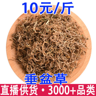 垂盆草产地一手货源量大从优