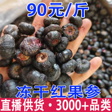 红果参冻干红果参云南红果参一件代发