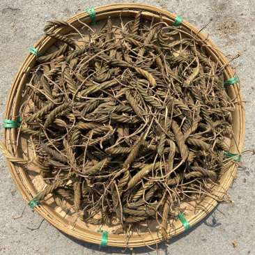 虫草虫草火麻索正宗虫草批发量大从优