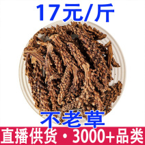 肉苁蓉不老草虎鞭草子孙草产地货源一件代发