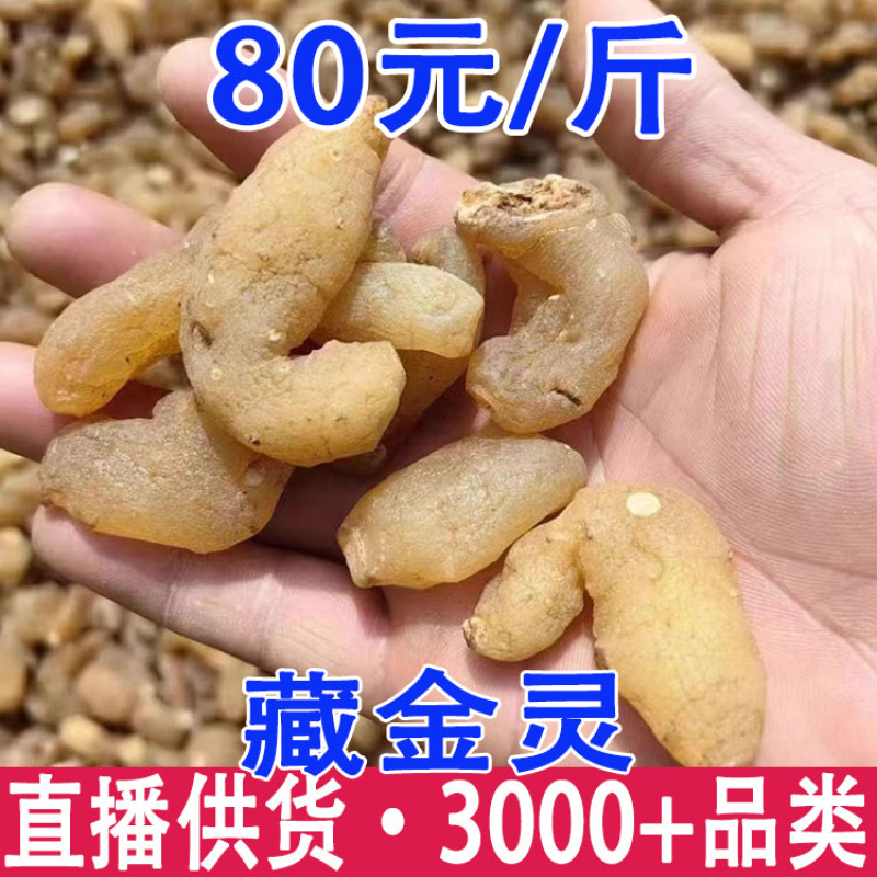 藏金灵西藏藏金灵一件代发大货批发