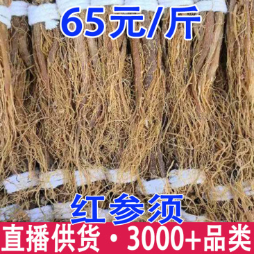 红参须无糖红参须大货批发