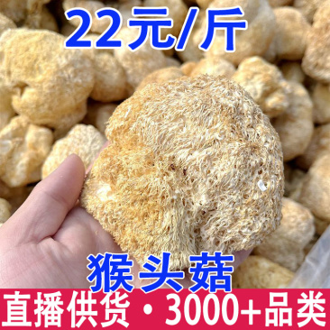 猴头菇猴头菇干货产地货源一件批发