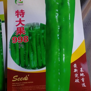 辣椒种子，特大果998