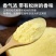 云南马尾松松花粉，破壳松花粉批发