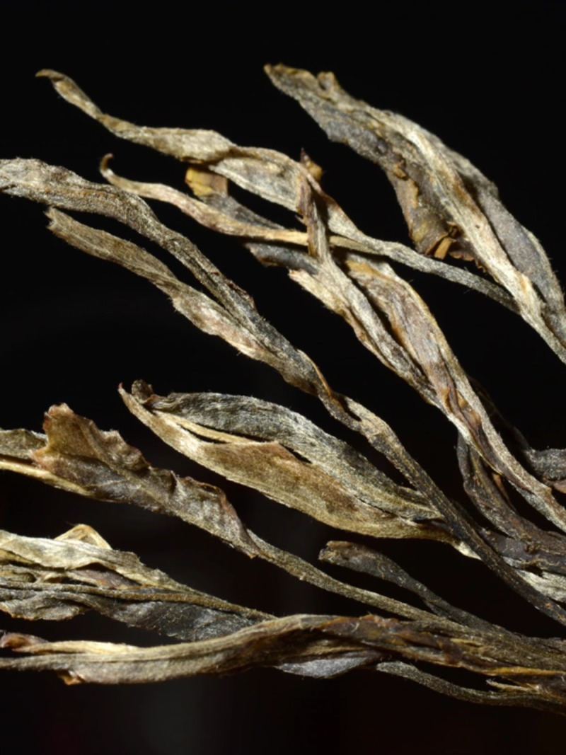 把把茶把子茶云南普茶批发量大从优