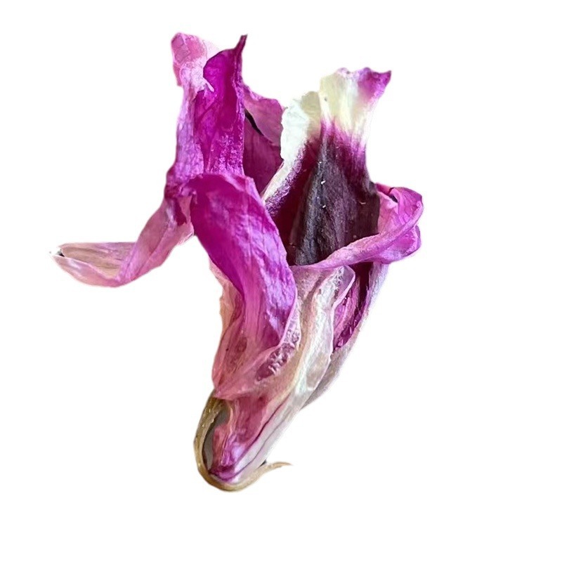 紫花石斛紫色石斛花铁皮石斛花