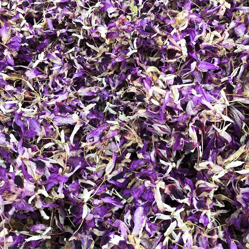 紫花石斛紫色石斛花铁皮石斛花