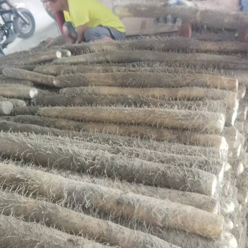 【推荐】湖北新鲜九斤黄山药量大价优品质保证对接全国