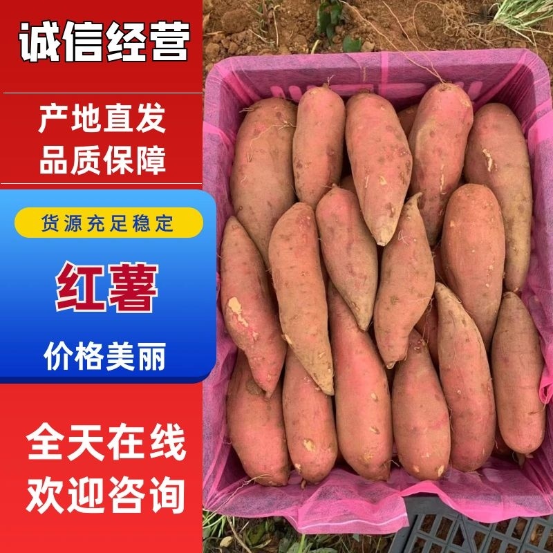 【热卖中】新鲜红薯大量供应商品薯电商薯牛薯均有欢迎来电