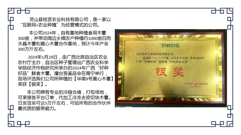 现货广西黄心木薯，承接各平台订单，代加工冷冻去皮切块木薯