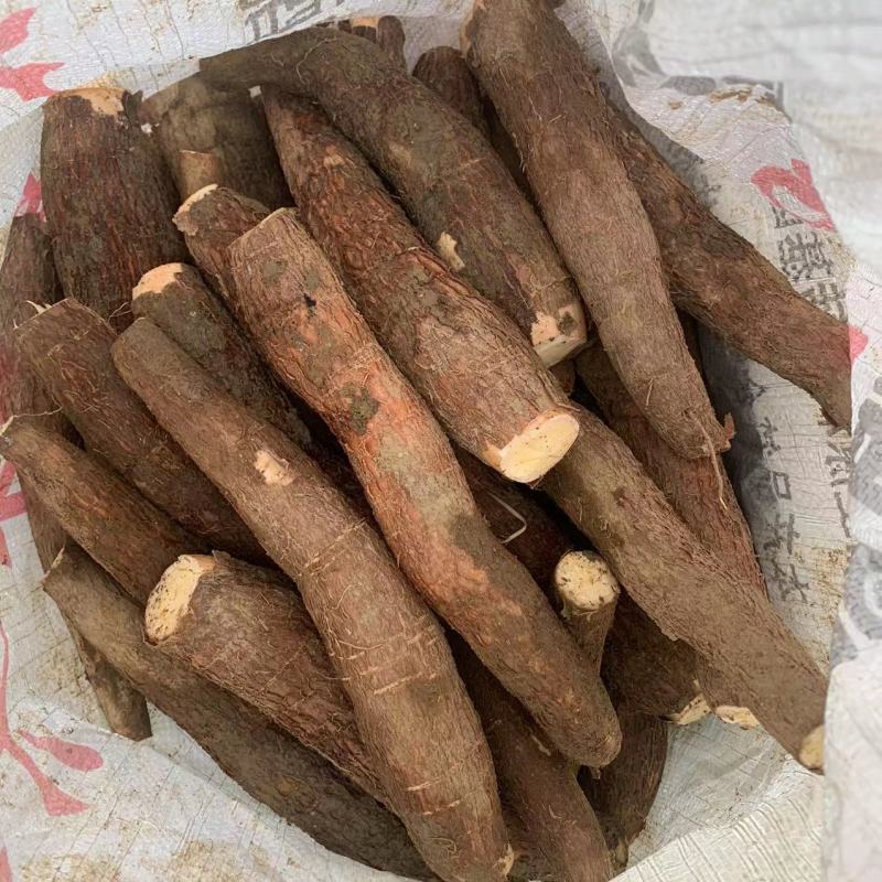 现货广西黄心木薯，承接各平台订单，代加工冷冻去皮切块木薯