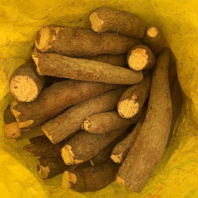 现货广西黄心木薯，承接各平台订单，代加工冷冻去皮切块木薯