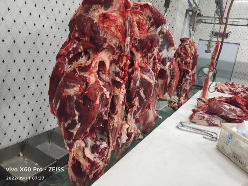 山东纯干鲁西黄牛肉价格优惠量大从优欢迎咨询
