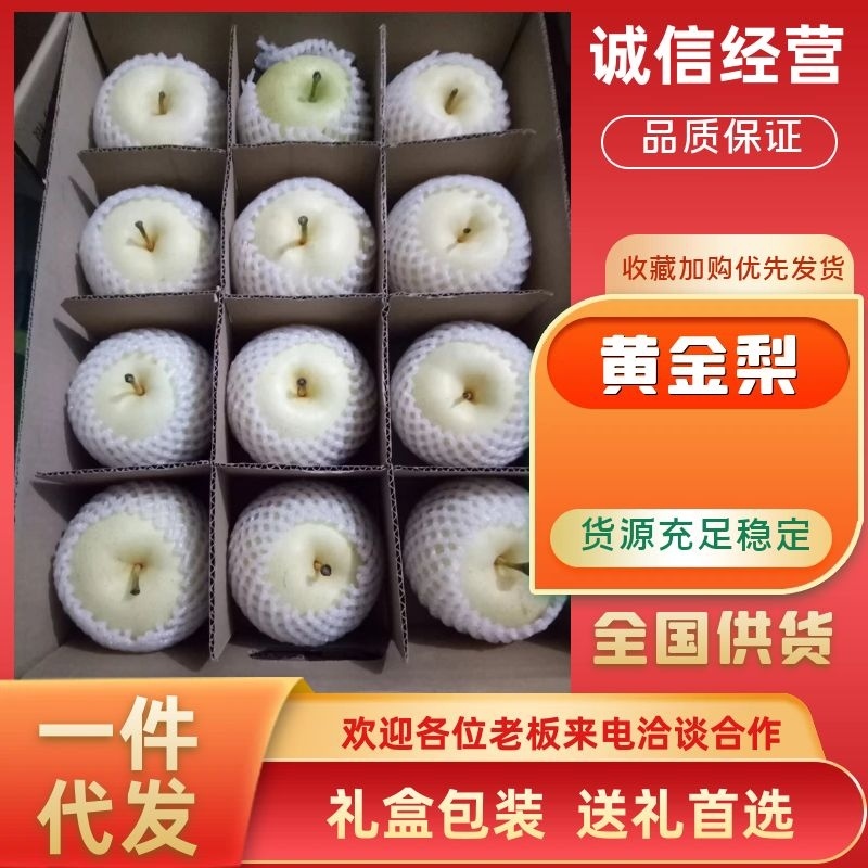 精品黄金梨8月上市全国供货量大从优品质保证欢迎来电