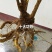 （精品）十大功劳现挖现卖视频看货有需要的老板速度下单咯