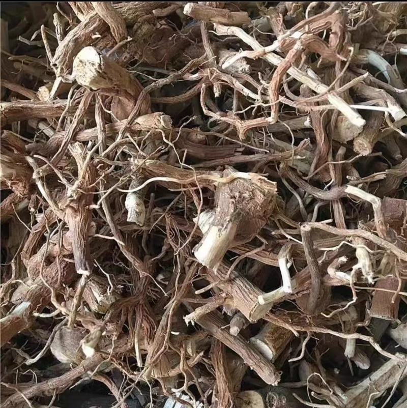 （精品）臭牡丹根现挖现卖视频看货有需要的老板速度下单咯