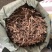 （精品）臭牡丹根现挖现卖视频看货有需要的老板速度下单咯