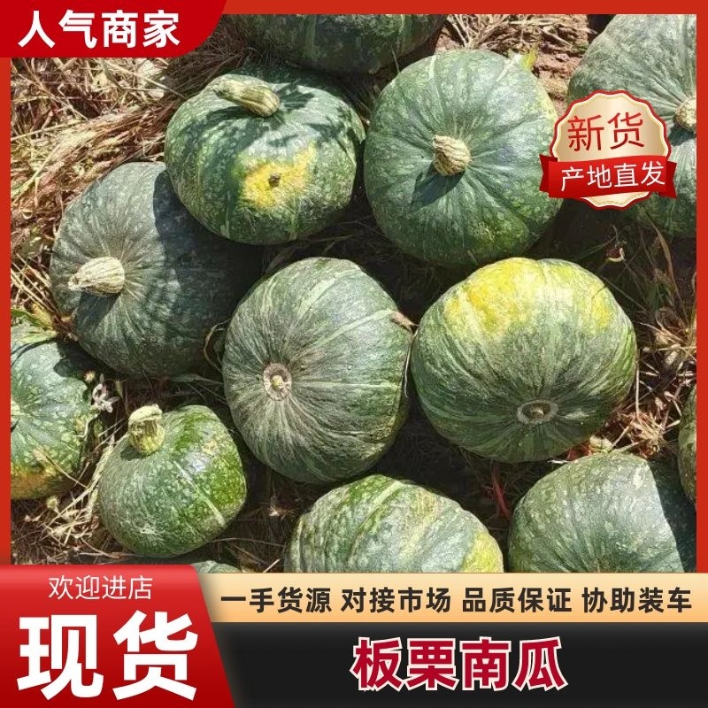 板栗南瓜，内蒙古板栗南瓜，大量现货精品供应