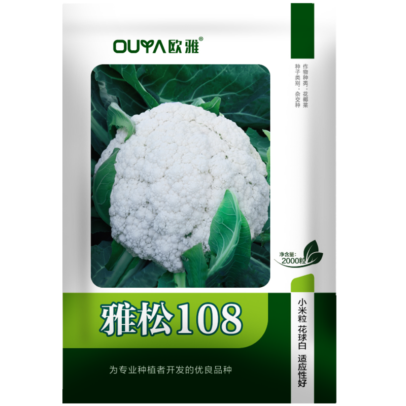 耐热青梗松花菜种子散花白色花椰菜种籽耐寒春秋播种菜花种