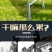 果园采摘三角伸缩梯规格齐全支持定制顺丰包邮